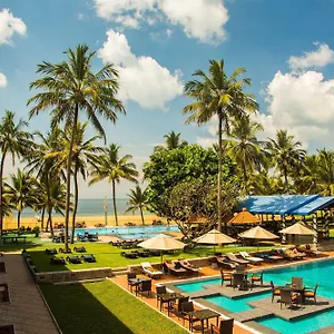 Camelot Negombo